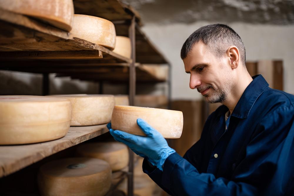 В ТГУ ищут безопасный способ борьбы с опасной бактерией сыров