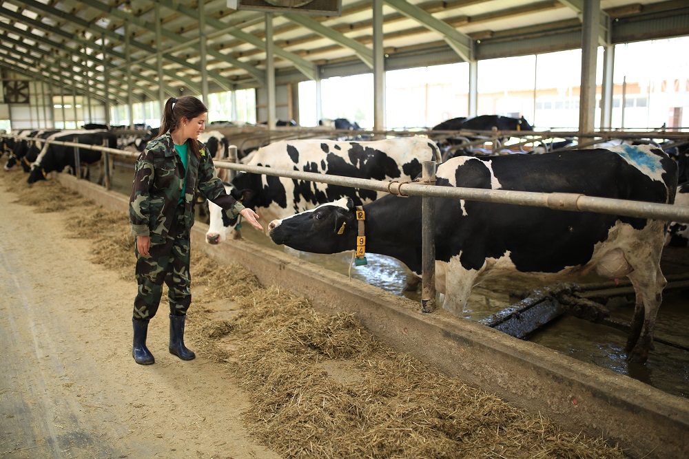 В Рязанском ГАТУ рассказали о наиболее востребованных специальностях