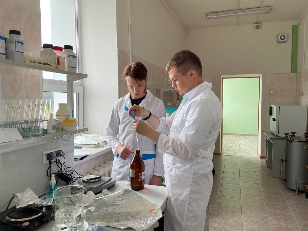 В ТГСХА разрабатывают особый способ выращивания диетического картофеля 