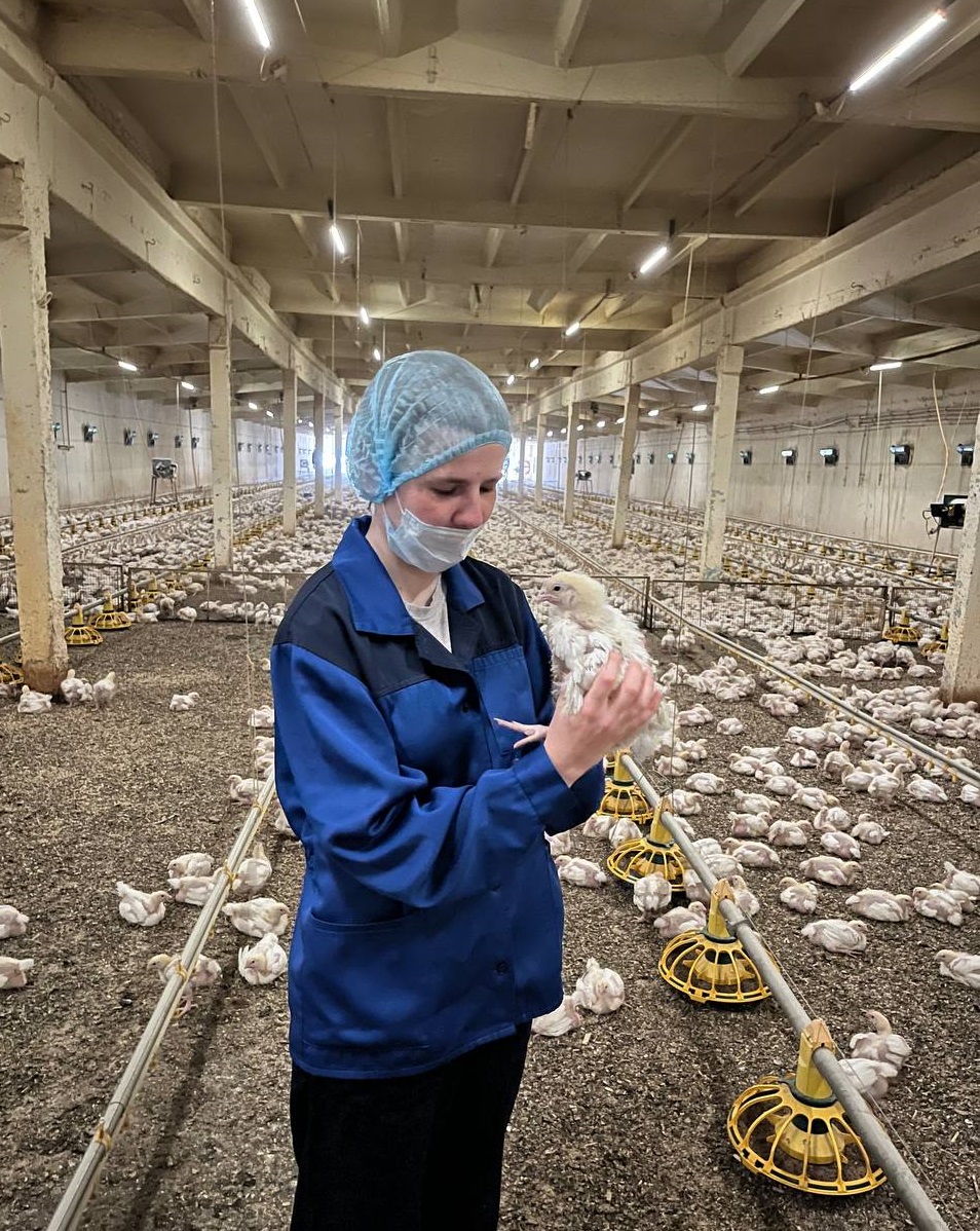 В Казанской ГАВМ рассказали о новых и старых профессиях в животноводстве