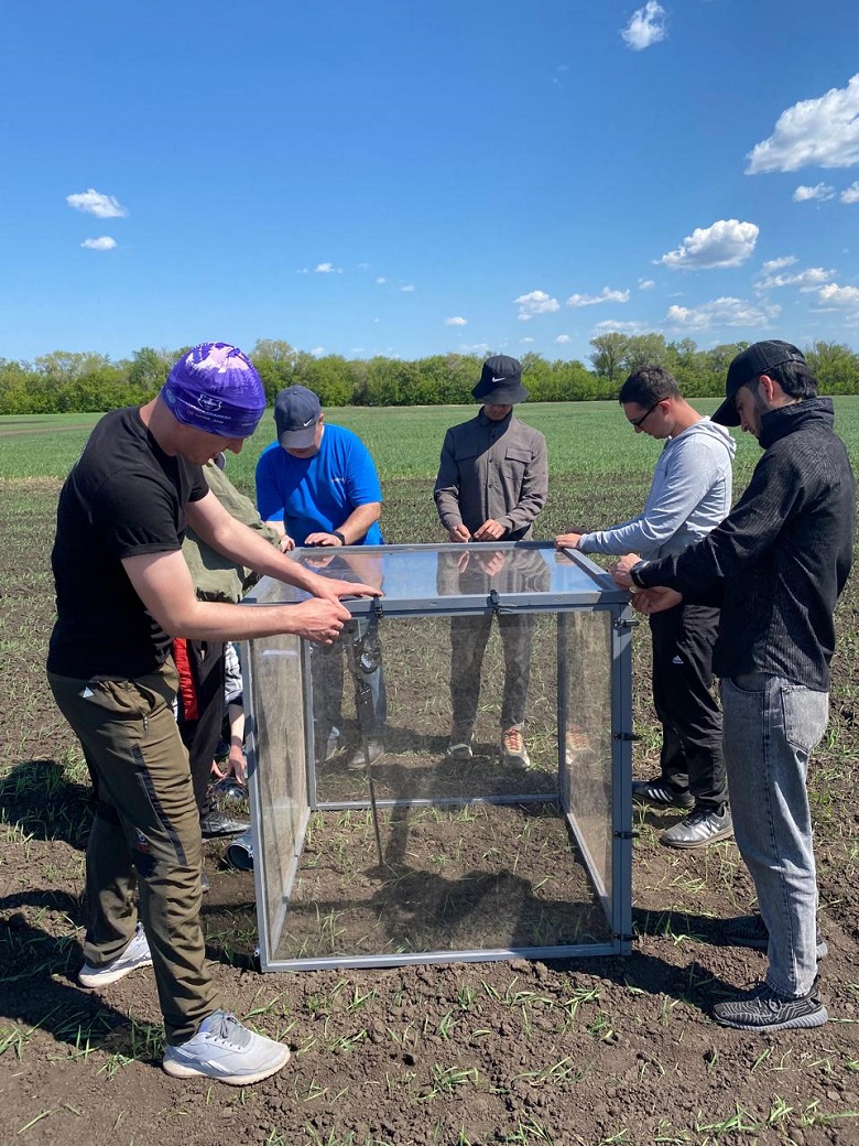 В УлГАУ совместно с КФУ изучают повышение эффективности прямого посева
